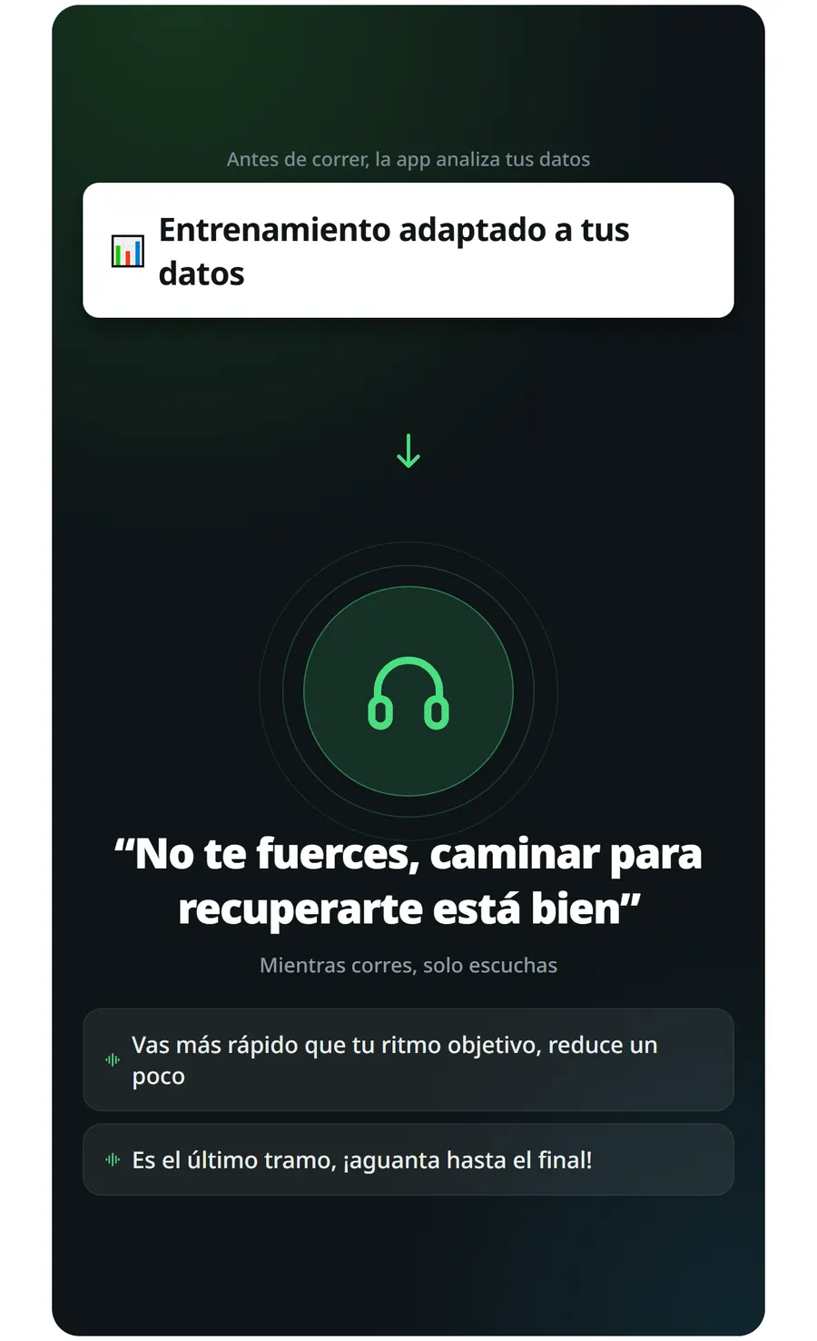 Analiza tus datos